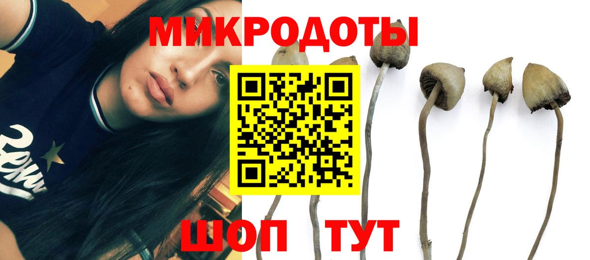 даркнет сайт  Галлюциногенные грибы мухоморы  Вход с VPN  Зеленодольск 